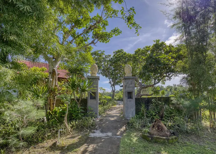 Ayu Hill *